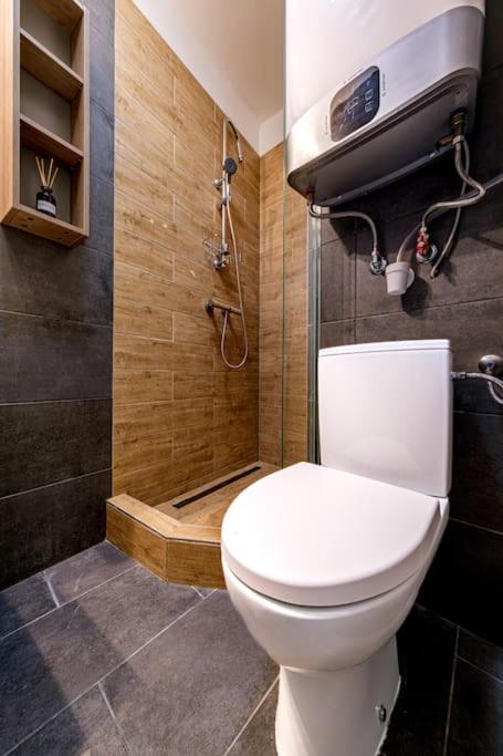 Chain Bridge Studio Lejlighed Budapest